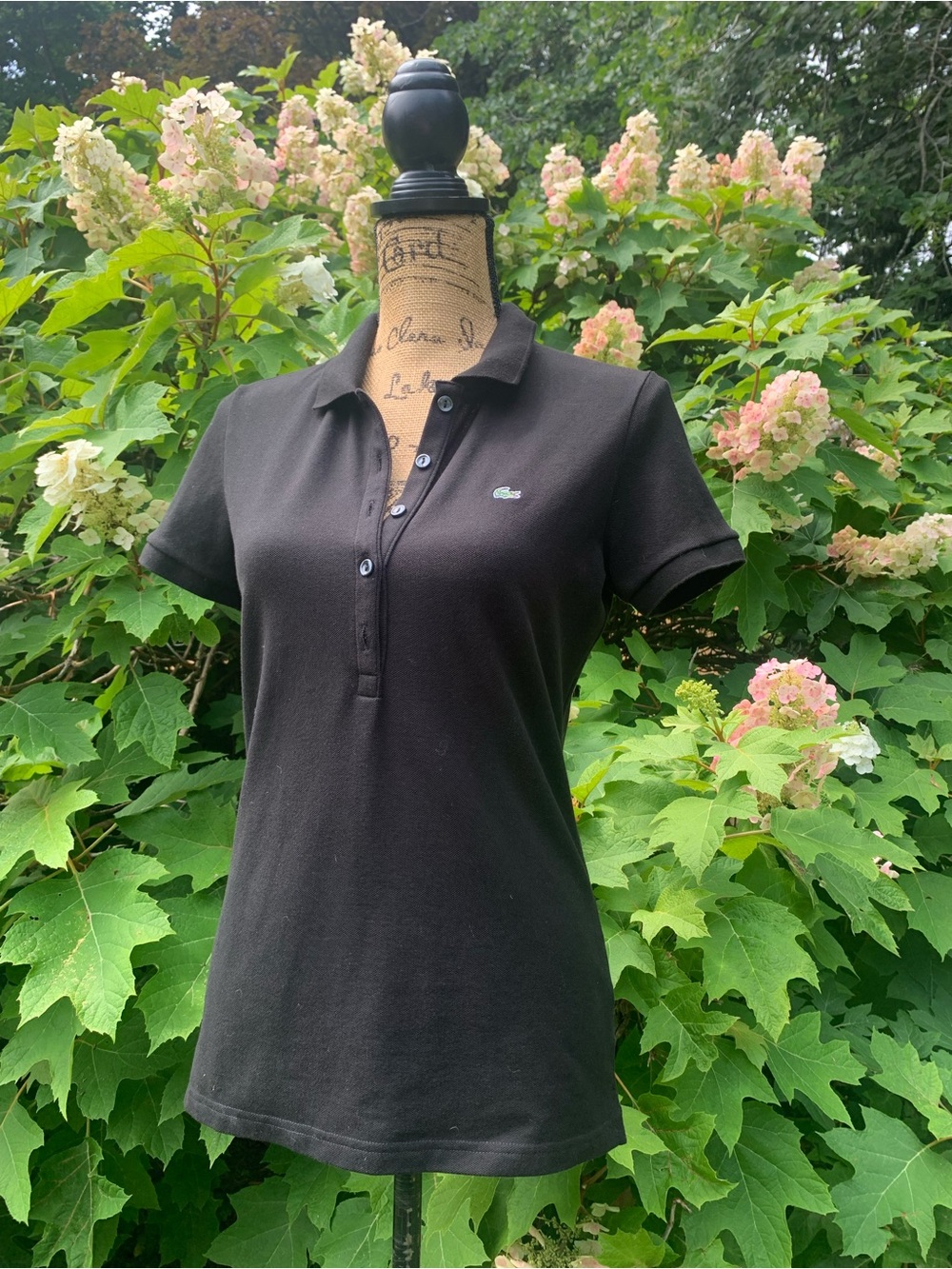 LACOSTE 94% cotton black ladies short sleeve polo shirt in size 42 (med?) VVGUC+